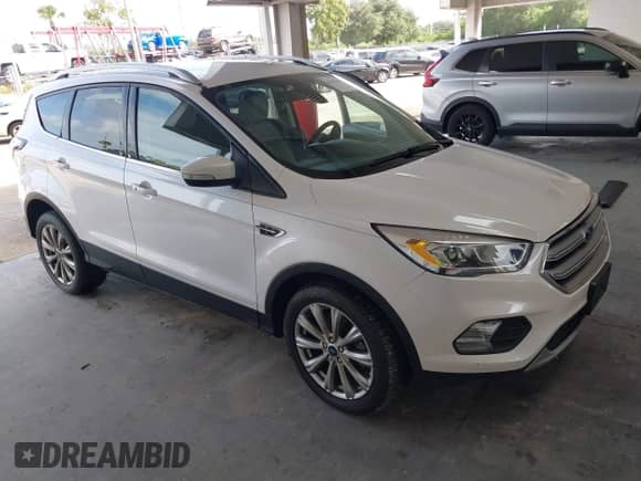 2017 Ford Escape Titanium with VIN 1FMCU0JD3HUF02746, listed as a IAAI auction lot 43394065 with 96,484 mi miles and . Bid and sale history available at DreamBid. Image 1.