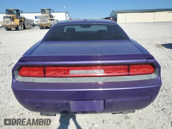 2010 Dodge Challenger R/T with VIN 2B3CJ5DT1AH175030, listed as a Copart auction lot 84941425 with 124,267 mi miles and Salvage title. Bid and sale history available at DreamBid. Image 6.