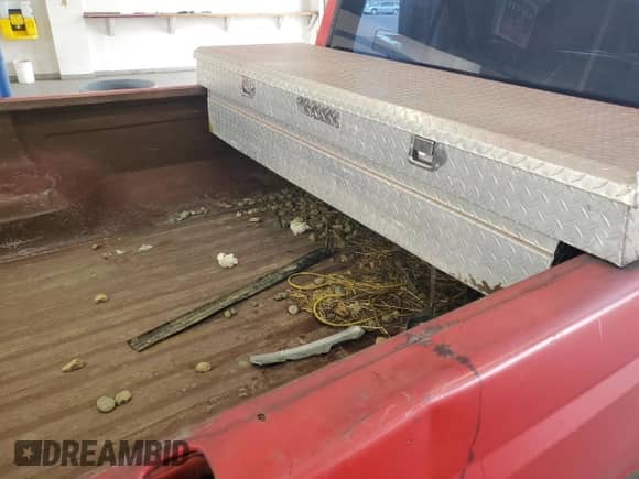 1983 Ford F-150 z VIN 1FTEF14Y3DRA22327, wystawiony jako Copart lot #72046365 z przebiegiem 53 476 mil mil oraz Szkoda całkowita • Salvage title. Historia ofert i sprzedaży dostępna na DreamBid. Obrazek 10.