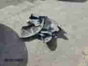 2020 Dodge Charger SXT with VIN 2C3CDXBG0LH124858, listed as a Copart auction lot 85275325 with 99,280 mi miles and Salvage title. Bid and sale history available at DreamBid. Image 12.