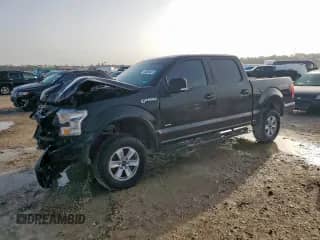 2017 Ford F-150 XL z VIN 1FTEW1EP3HFB33912, wystawiony jako Copart lot #62504415 z przebiegiem Nie podano mil oraz Szkoda całkowita • Salvage title. Historia ofert i sprzedaży dostępna na DreamBid. Obrazek 1.