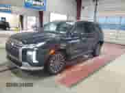 2024 Hyundai Palisade Calligraphy with VIN KM8R74GE9RU691848, listed as a Copart auction lot 85096545 with 13,097 mi miles and Salvage title. Bid and sale history available at DreamBid. Image 1.