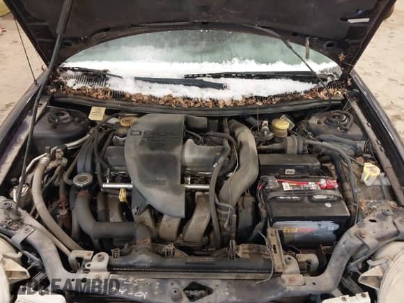 1999 Dodge Neon with VIN 1B3ES47Y1XD124821, listed as a IAAI auction lot 41533765 with 104,208 mi miles and . Bid and sale history available at DreamBid. Image 10.