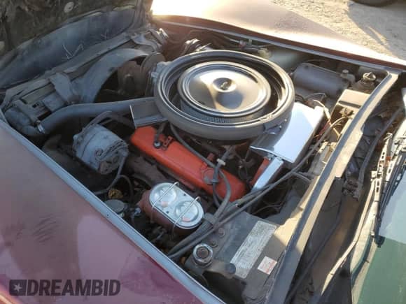 1975 Chevrolet Corvette с VIN 1Z37J5S420913, выставлен на аукционе Copart как лот 84151324 с пробегом 14 446 миль миль и Списание • Salvage title. История ставок и продаж доступна на DreamBid. Изображение 12.