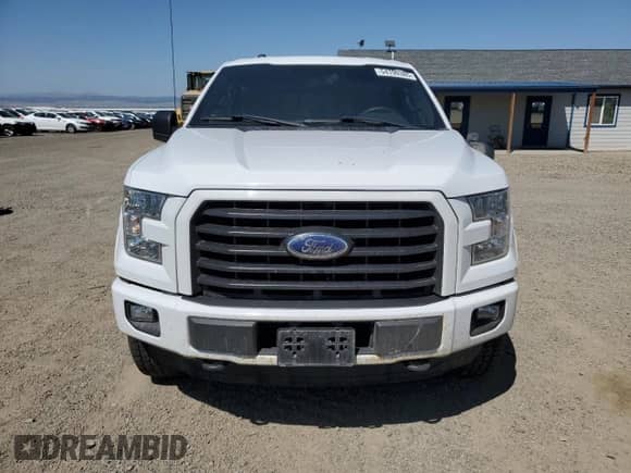 2016 Ford F-150 XLT with VIN 1FTFX1EG4GKF49765, listed as a Copart auction lot 54709385 with 126,054 mi miles and Salvage title. Bid and sale history available at DreamBid. Image 5.