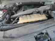 2019 Ford F-150 XL with VIN 1FTNF1C44KKC41561, listed as a Copart auction lot 64255205 with Not provided miles and Salvage title. Bid and sale history available at DreamBid. Image 15.