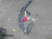 2012 Toyota Camry L with VIN 4T4BF1FK7CR258049, listed as a IAAI auction lot 43206282 with 149,209 mi miles and . Bid and sale history available at DreamBid. Image 12.