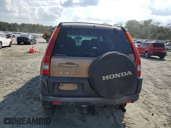 2002 Honda CR-V EX with VIN JHLRD78892C023036, listed as a Copart auction lot 81039505 with 216,078 mi miles and Salvage title. Bid and sale history available at DreamBid. Image 6.