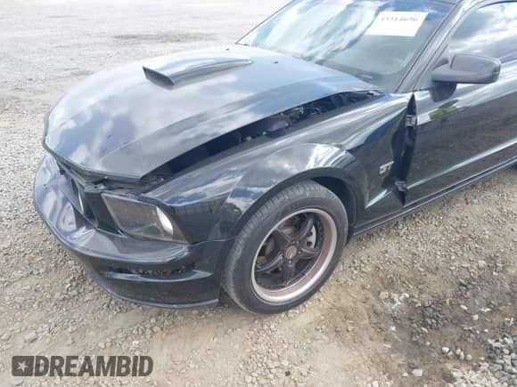 2007 Ford Mustang GT Deluxe z VIN 1ZVHT82H675250977, wystawiony jako IAAI lot #43314696 z przebiegiem 152 490 mil mil oraz . Historia ofert i sprzedaży dostępna na DreamBid. Obrazek 6.