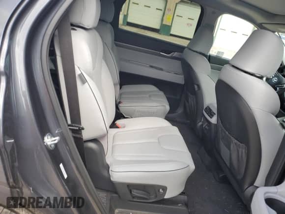 2024 Hyundai Palisade SEL z VIN KM8R44GE8RU690487, wystawiony jako Copart lot #64843604 z przebiegiem 8 060 mil mil oraz Szkoda całkowita • Salvage title. Historia ofert i sprzedaży dostępna na DreamBid. Obrazek 10.