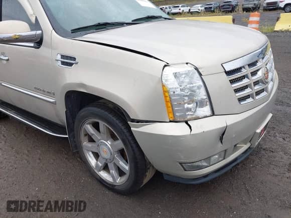 2009 Cadillac Escalade with VIN 1GYFK23249R114664, listed as a IAAI auction lot 43380961 with 128,313 mi miles and . Bid and sale history available at DreamBid. Image 21.