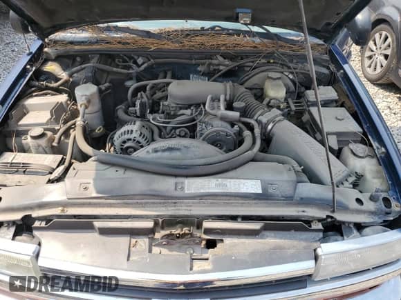 2001 Chevrolet Blazer LT z VIN 1GNDT13W61K226300, wystawiony jako Copart lot #69534994 z przebiegiem Nie podano mil oraz Czysty tytuł • Clean title. Historia ofert i sprzedaży dostępna na DreamBid. Obrazek 11.