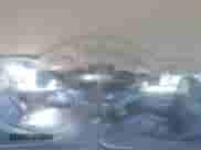 2012 BMW 5 Series 535i с VIN WBAFR7C57CC816624, выставлен на аукционе Copart как лот 65814415 с пробегом Не указан миль и Списание • Salvage title. История ставок и продаж доступна на DreamBid. Изображение 14.