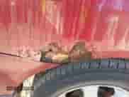 2000 Honda Accord SE with VIN JHMCG5671YC015450, listed as a IAAI auction lot 43412014 with 228,259 mi miles and . Bid and sale history available at DreamBid. Image 13.