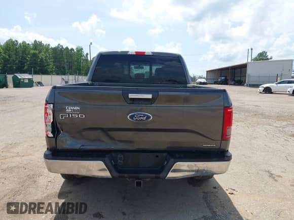 2016 Ford F-150 XLT z VIN 1FTEW1EF3GFB93744, wystawiony jako IAAI lot #42529885 z przebiegiem 208 508 mil mil oraz . Historia ofert i sprzedaży dostępna na DreamBid. Obrazek 19.