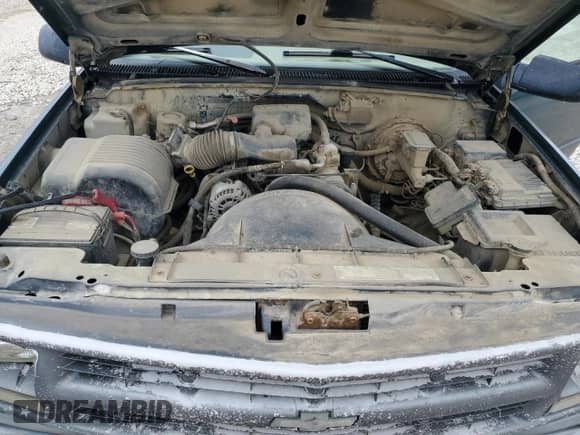 1996 Chevrolet Silverado 1500 with VIN 1GCEC14W0TZ148697, listed as a Copart auction lot 44876374 with 209,595 mi miles and Salvage title. Bid and sale history available at DreamBid. Image 11.