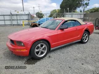 2008 Ford Mustang Deluxe with VIN 1ZVHT84N185201514, listed as a Copart auction lot 71903695 with 145,537 mi miles and Salvage title. Bid and sale history available at DreamBid. Image 1.