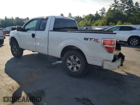 2013 Ford F-150 XL z VIN 1FTFX1EF3DFC99589, wystawiony jako Copart lot #80426975 z przebiegiem 186 667 mil mil oraz Szkoda całkowita • Salvage title. Historia ofert i sprzedaży dostępna na DreamBid. Obrazek 2.