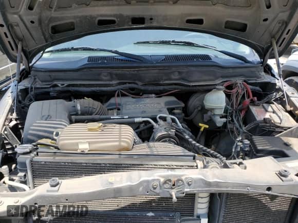 2004 Dodge 1500 SLT z VIN 1D7HA16D94J198888, wystawiony jako Copart lot #65046655 z przebiegiem 183 860 mil mil oraz Szkoda całkowita • Salvage title. Historia ofert i sprzedaży dostępna na DreamBid. Obrazek 11.