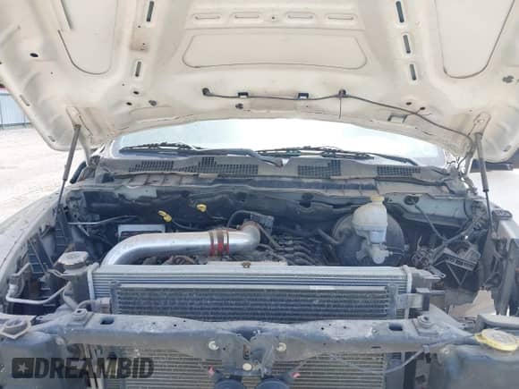 2009 Dodge 1500 SLT with VIN 1D3HB13P19S750446, listed as a IAAI auction lot 42418275 with 251,093 mi miles and . Bid and sale history available at DreamBid. Image 10.