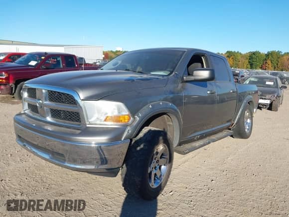 2011 Ram 1500 ST with VIN 1D7RV1CP8BS582871, listed as a IAAI auction lot 43466830 with 166,799 mi miles and . Bid and sale history available at DreamBid. Image 17.