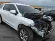 2021 Hyundai Palisade SE z VIN KM8R1DHEXMU245734, wystawiony jako Copart lot #69984485 z przebiegiem 58 232 mil mil oraz Szkoda całkowita • Salvage title. Historia ofert i sprzedaży dostępna na DreamBid. Obrazek 15.