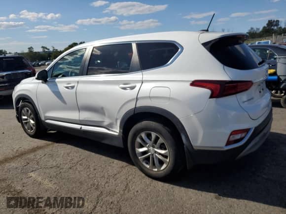 2019 Hyundai Santa Fe SE with VIN 5NMS2CAD2KH101856, listed as a Copart auction lot 71641775 with 46,083 mi miles and Salvage title. Bid and sale history available at DreamBid. Image 2.