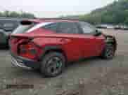 2025 Hyundai Tucson Blue с VIN KM8JBDD13SU268704, выставлен на аукционе Copart как лот 67777405 с пробегом 17 230 миль миль и Списание • Salvage title. История ставок и продаж доступна на DreamBid. Изображение 3.