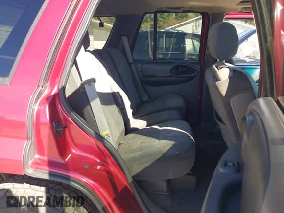 2002 Chevrolet TrailBlazer LS with VIN 1GNDT13S822523955, listed as a IAAI auction lot 43435441 with 143,193 mi miles and . Bid and sale history available at DreamBid. Image 8.