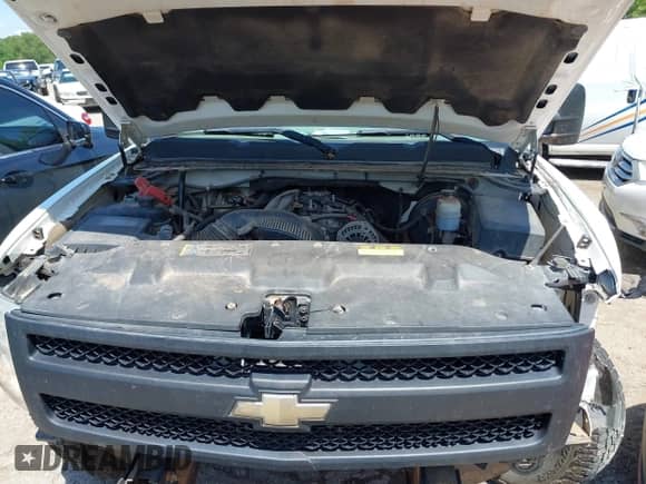 2010 Chevrolet Silverado 1500 Work Truck with VIN 1GCSKPE39AZ214240, listed as a IAAI auction lot 42497427 with 261,581 mi miles and . Bid and sale history available at DreamBid. Image 10.