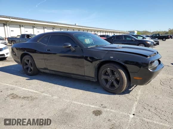 2010 Dodge Challenger SE с VIN 2B3CJ4DV7AH248686, выставлен на аукционе Copart как лот 85706965 с пробегом 168 916 миль миль и Списание • Salvage title. История ставок и продаж доступна на DreamBid. Изображение 4.