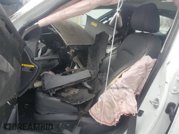 2017 Hyundai Elantra Limited with VIN 5NPD84LF5HH093226, listed as a Copart auction lot 47854065 with Not provided miles and Salvage title. Bid and sale history available at DreamBid. Image 7.