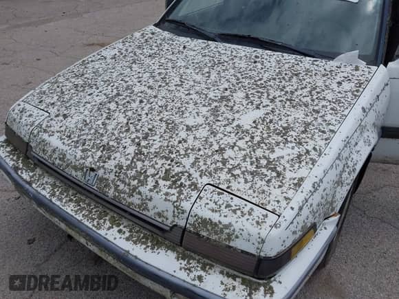 1989 Honda Accord с VIN 1HGCA553XKA096406, выставлен на аукционе IAAI как лот 42310593 с пробегом 177 116 миль миль и . История ставок и продаж доступна на DreamBid. Изображение 10.