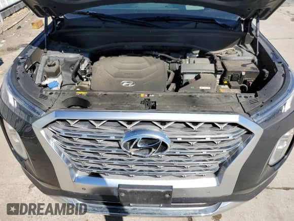 2020 Hyundai Palisade Limited with VIN KM8R5DHE3LU119508, listed as a Copart auction lot 46470854 with 76,055 mi miles and . Bid and sale history available at DreamBid. Image 12.