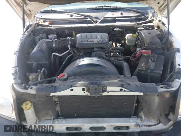 2005 Dodge Dakota ST with VIN 1D7HE22K85S256256, listed as a IAAI auction lot 43000785 with 387,492 mi miles and . Bid and sale history available at DreamBid. Image 10.