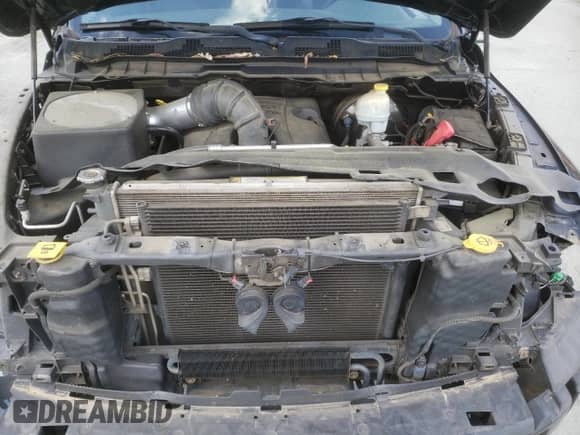 2009 Dodge 1500 Sport with VIN 1D3HV18T39S783798, listed as a Copart auction lot 53626685 with 174,851 mi miles and Clean title. Bid and sale history available at DreamBid. Image 11.