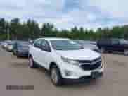 2020 Chevrolet Equinox LS z VIN 2GNAXSEV4L6124615, wystawiony jako IAAI lot #43211847 z przebiegiem 82 487 mil mil oraz . Historia ofert i sprzedaży dostępna na DreamBid. Obrazek 1.