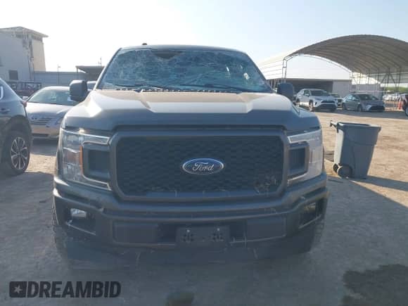 2019 Ford F-150 XL with VIN 1FTEW1CP3KKE78147, listed as a IAAI auction lot 43187598 with Not provided miles and . Bid and sale history available at DreamBid. Image 12.