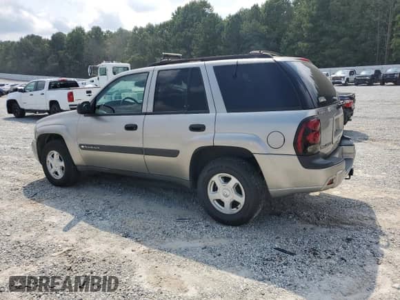 2003 Chevrolet TrailBlazer LS with VIN 1GNDS13S132358996, listed as a Copart auction lot 69185425 with 194,582 mi miles and Salvage title. Bid and sale history available at DreamBid. Image 2.