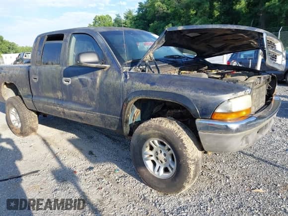 2002 Dodge Dakota SLT with VIN 1B7HG48N82S682686, listed as a IAAI auction lot 42632078 with Not provided miles and . Bid and sale history available at DreamBid. Image 1.