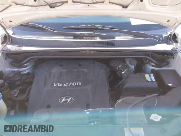 2007 Hyundai Tucson SE with VIN KM8JN12D67U674101, listed as a IAAI auction lot 43503952 with 197,306 mi miles and . Bid and sale history available at DreamBid. Image 10.