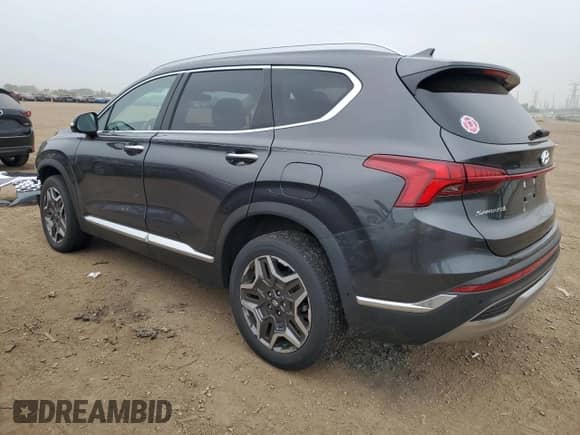2021 Hyundai Santa Fe Limited with VIN 5NMS4DAL8MH343092, listed as a Copart auction lot 61070645 with 20,187 mi miles and Salvage title. Bid and sale history available at DreamBid. Image 2.