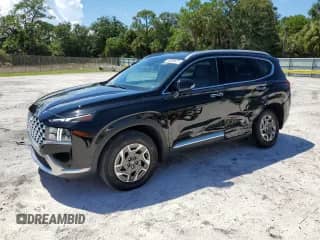 2023 Hyundai Santa Fe Blue with VIN 5NMS2DA10PH015920, listed as a Copart auction lot 68086825 with 31,840 mi miles and Non repairable. Bid and sale history available at DreamBid. Image 1.