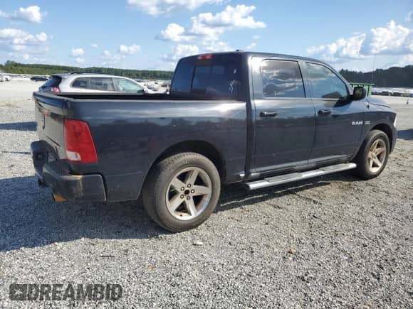 2010 Dodge 1500 SLT with VIN 1D7RB1CT1AS176368, listed as a Copart auction lot 80113815 with 209,907 mi miles and Salvage title. Bid and sale history available at DreamBid. Image 3.