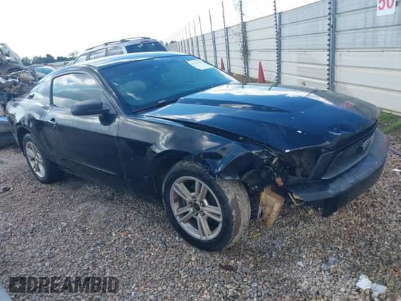 2010 Ford Mustang V6 z VIN 1ZVBP8AN3A5160730, wystawiony jako IAAI lot #43323627 z przebiegiem 193 185 mil mil oraz . Historia ofert i sprzedaży dostępna na DreamBid. Obrazek 1.