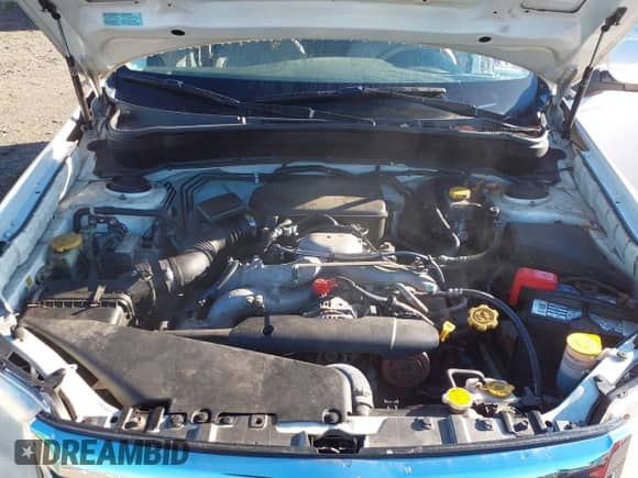 2009 Subaru Forester X with VIN JF2SH63669H704854, listed as a IAAI auction lot 43419209 with 123,073 mi miles and . Bid and sale history available at DreamBid. Image 10.