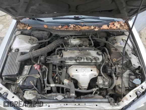 2001 Honda Accord z VIN 1HGCG32871A004296, wystawiony jako Copart lot #79751494 z przebiegiem 223 281 mil mil oraz Szkoda całkowita • Salvage title. Historia ofert i sprzedaży dostępna na DreamBid. Obrazek 11.