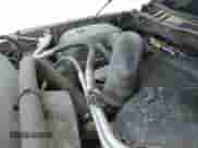 2014 Ram 1500 Tradesman с VIN 1C6RR7FTXES192585, выставлен на аукционе IAAI как лот 42438664 с пробегом 156 678 миль миль и . История ставок и продаж доступна на DreamBid. Изображение 21.