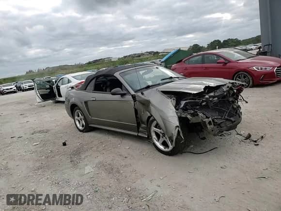 2001 Ford Mustang SVT Cobra with VIN 1FAFP46V51F233537, listed as a Copart auction lot 81497604 with Not provided miles and Salvage title. Bid and sale history available at DreamBid. Image 11.