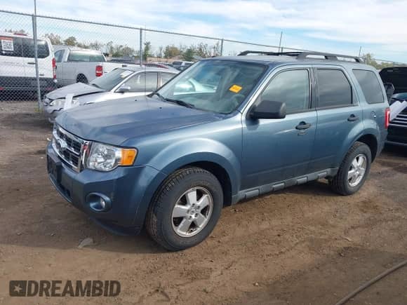2011 Ford Escape XLT with VIN 1FMCU9D77BKA67338, listed as a IAAI auction lot 43552438 with 61,303 mi miles and . Bid and sale history available at DreamBid. Image 2.